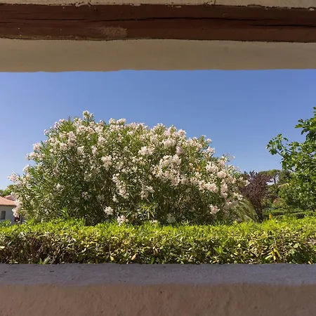 177 - Trilocale Al Taunus Con Ampio Giardino - Inclusa Nel Prezzo * Numana